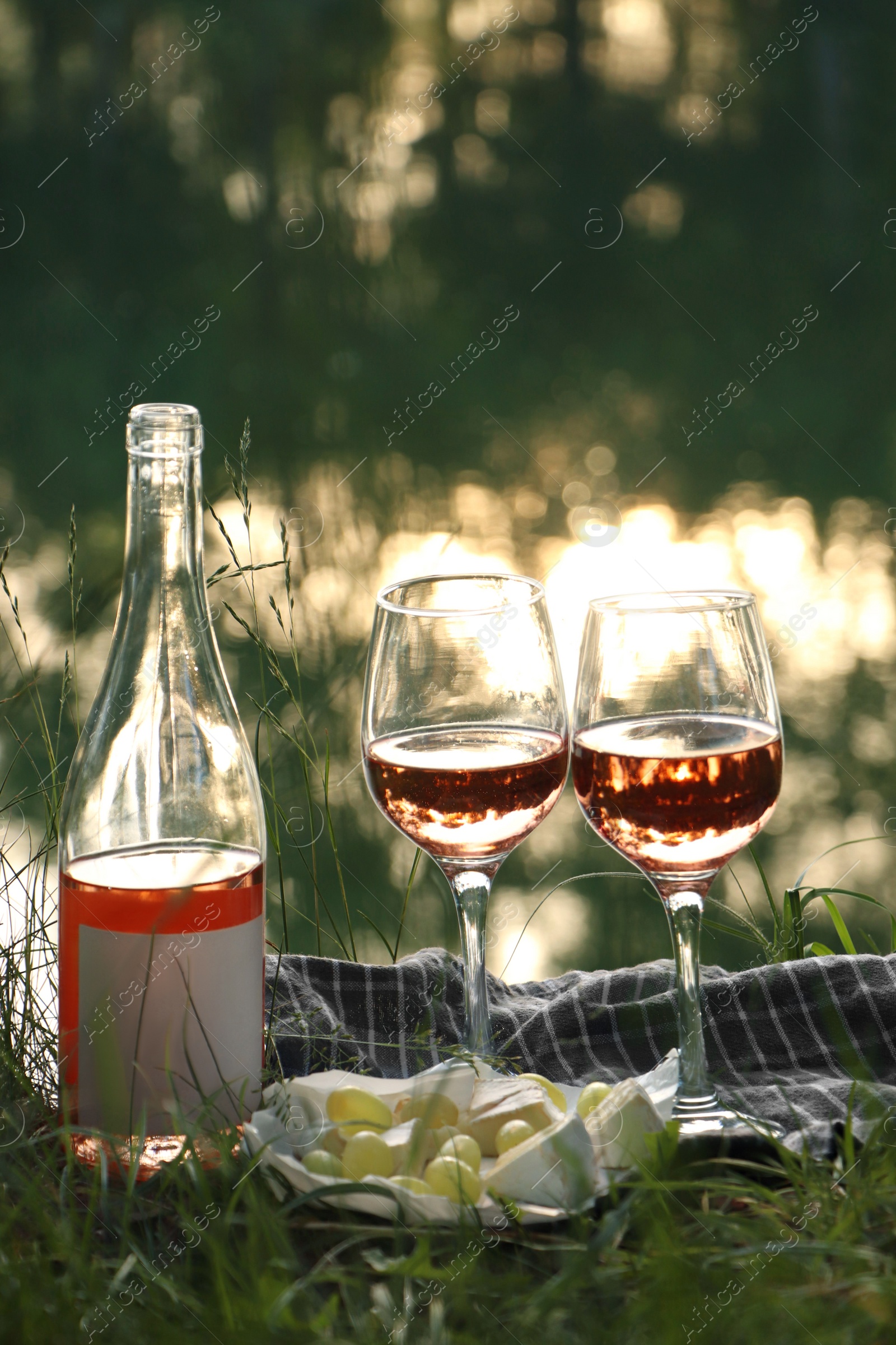 Photo of Delicious rose wine, cheese and grapes on picnic blanket near lake