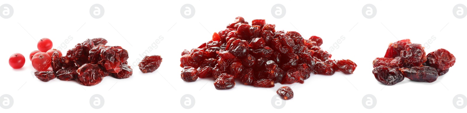 Image of Collage with dried cranberries on white background, banner design