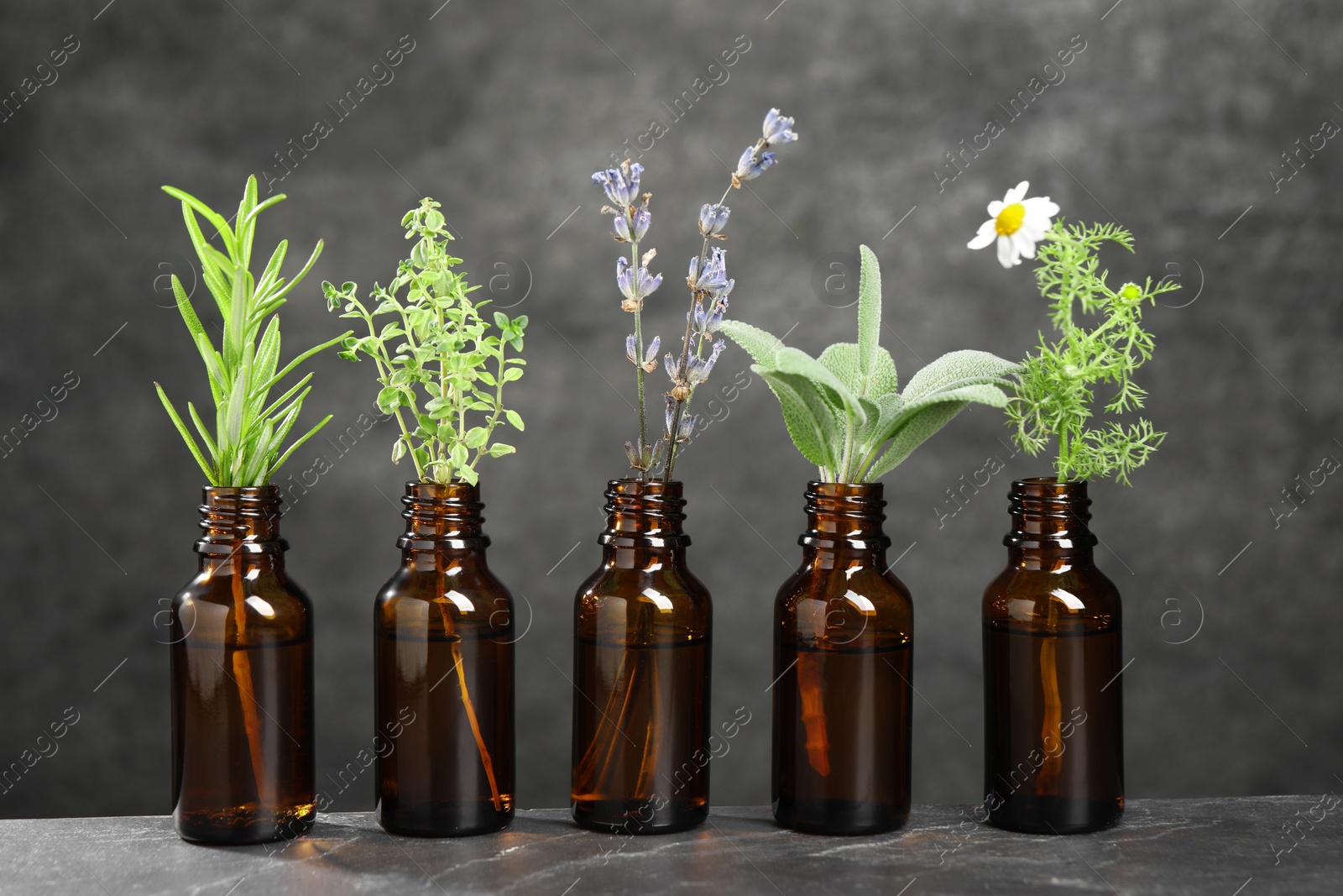 Photo of Bottles with essential oils and plants on grey textured table