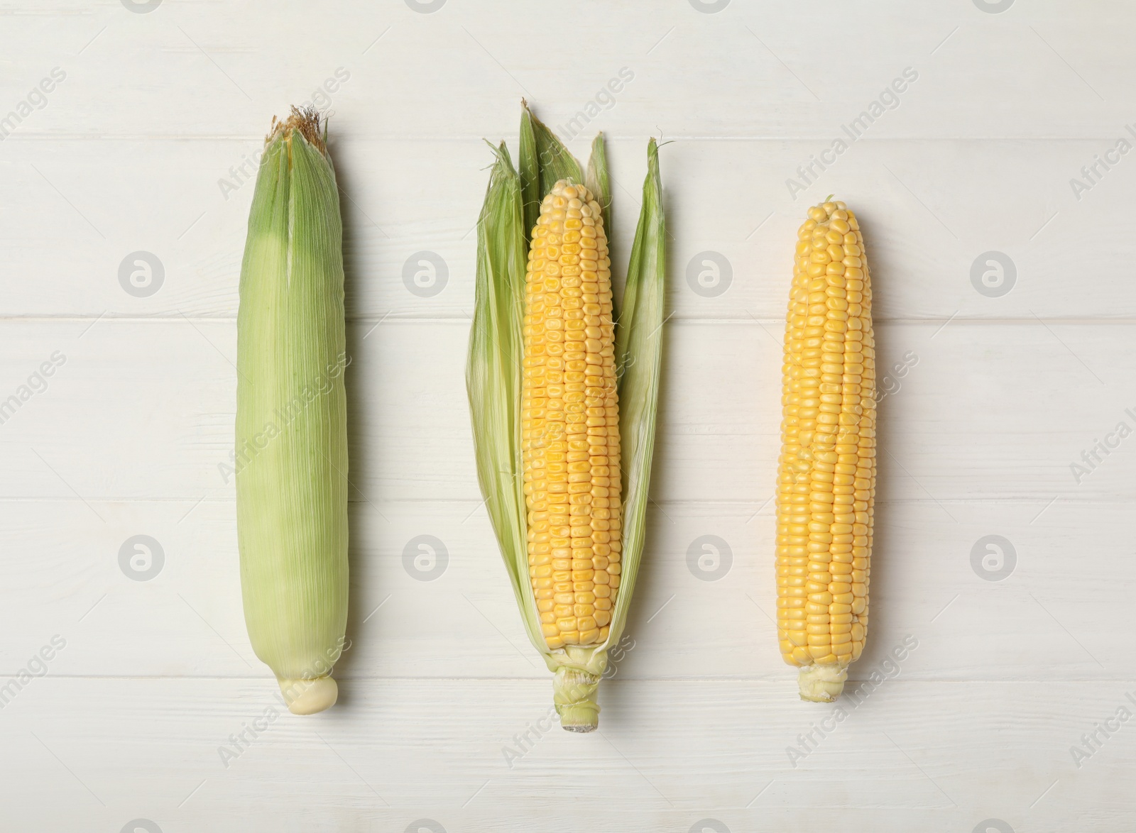 Photo of Corn cobs on white wooden table, flat lay