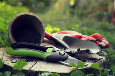 Photo of Secateurs and other gardening tools on wooden stump among green grass, closeup