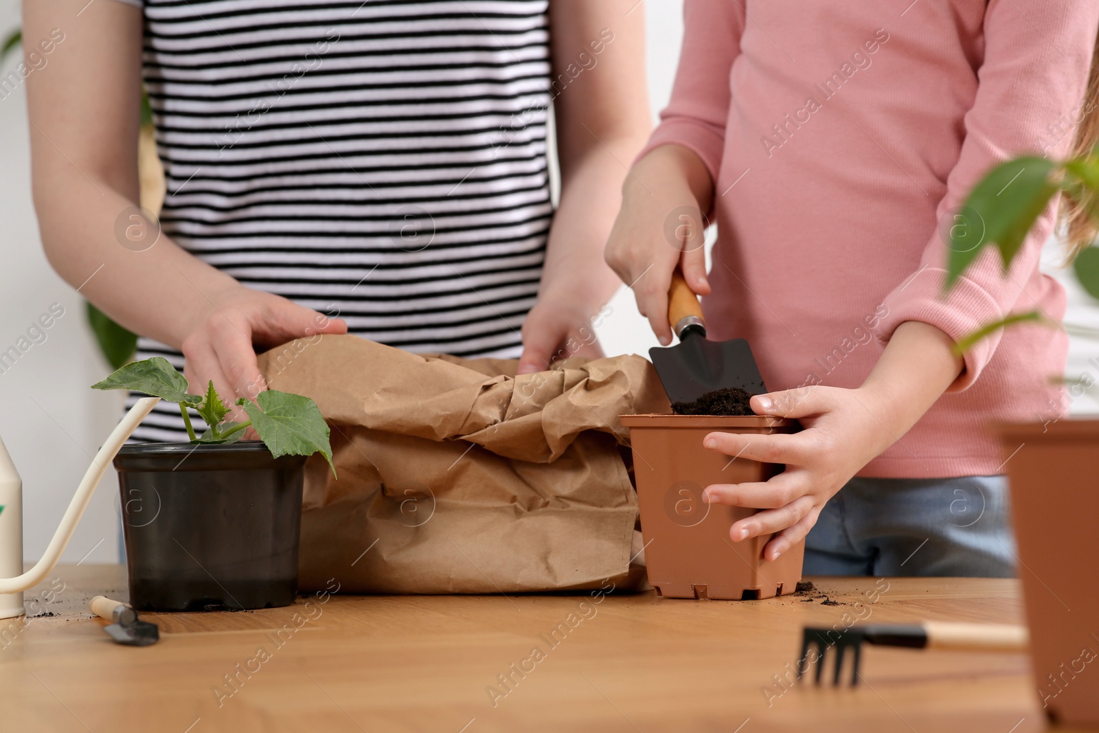 Photo of Mother and daughter planting seedling in pot together at wooden table indoors, closeup