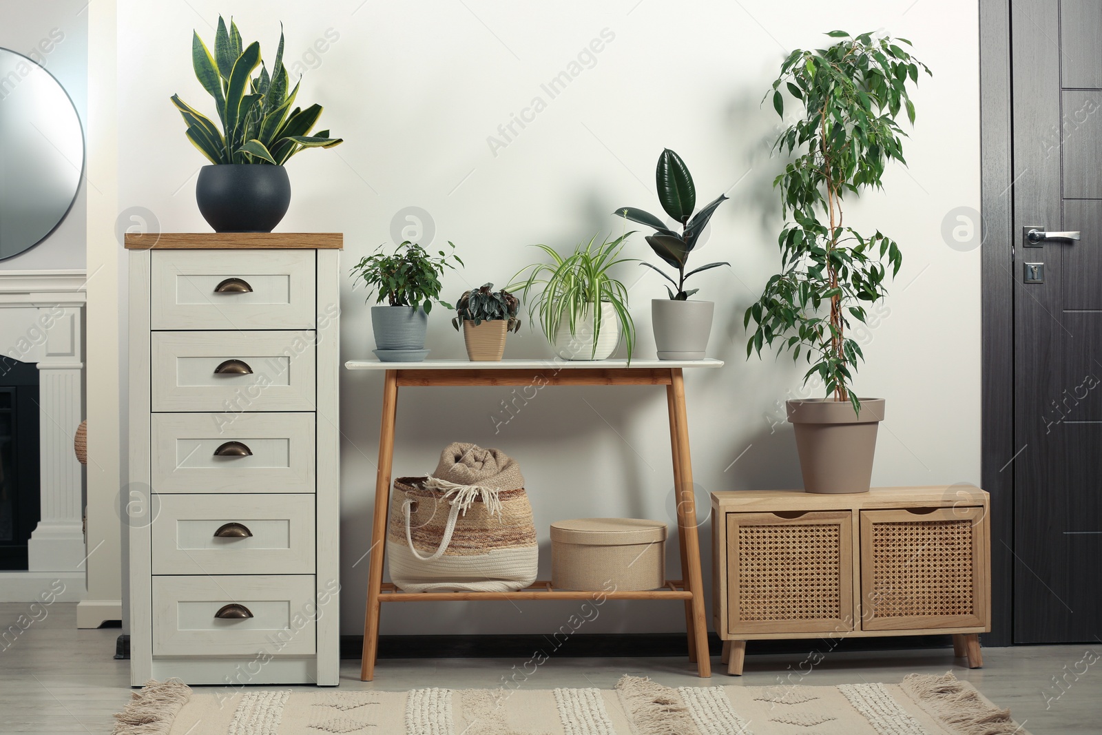 Photo of Stylish room interior with wooden furniture and beautiful green houseplants