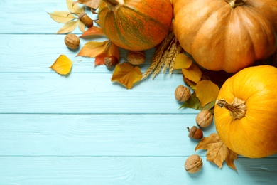 Ripe pumpkins on blue wooden background, space for text. Holiday decoration