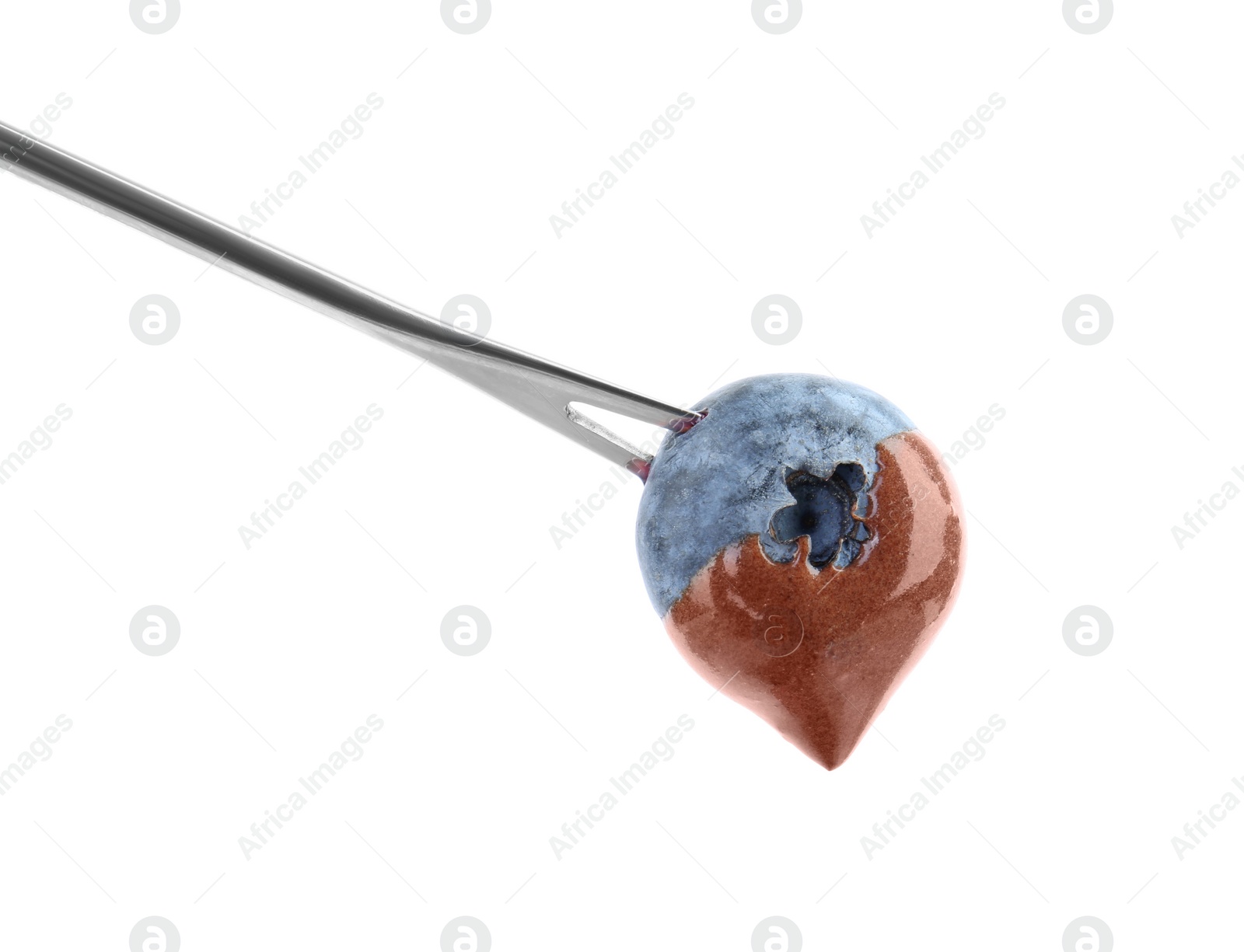 Photo of Blueberry with melted chocolate isolated on fondue fork against white background