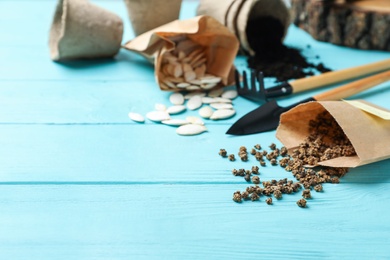Photo of Vegetable seeds and gardening tools on light blue wooden table. Space for text