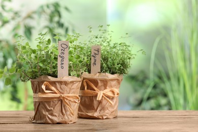 Photo of Aromatic potted oregano and thyme on wooden table. Space for text