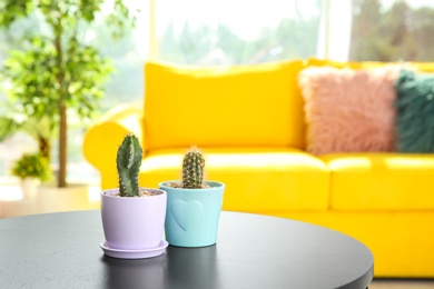 Beautiful cacti in flowerpots on table indoors