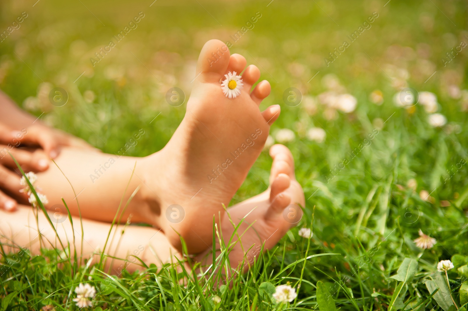 Photo of Child with chamomile between toes sitting on green grass outdoors, closeup of feet