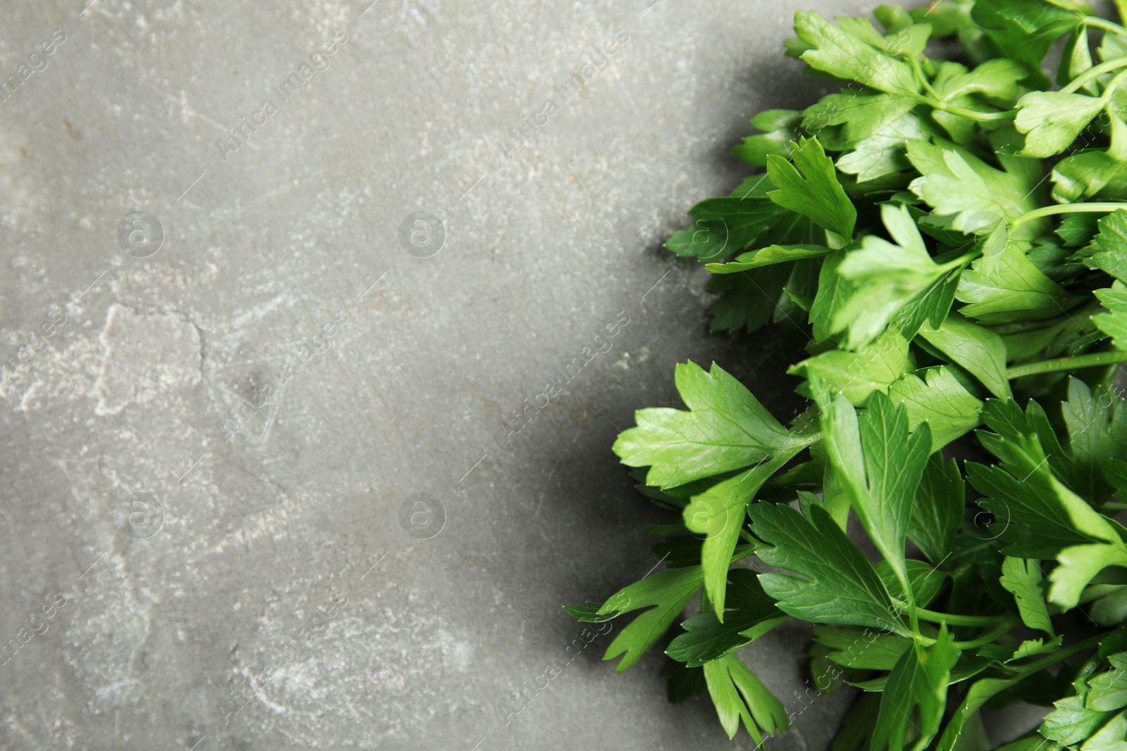 Photo of Fresh green parsley and space for text on grey background, closeup