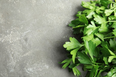 Photo of Fresh green parsley and space for text on grey background, closeup