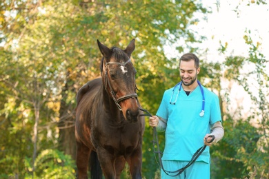 Photo of Veterinarian in uniform with beautiful brown horse outdoors