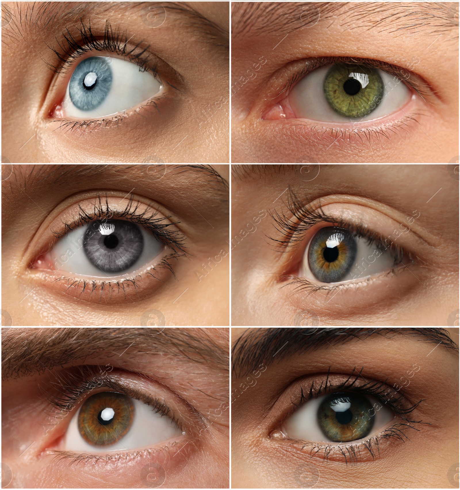 Image of Collage with photos of people with beautiful eyes of different colors