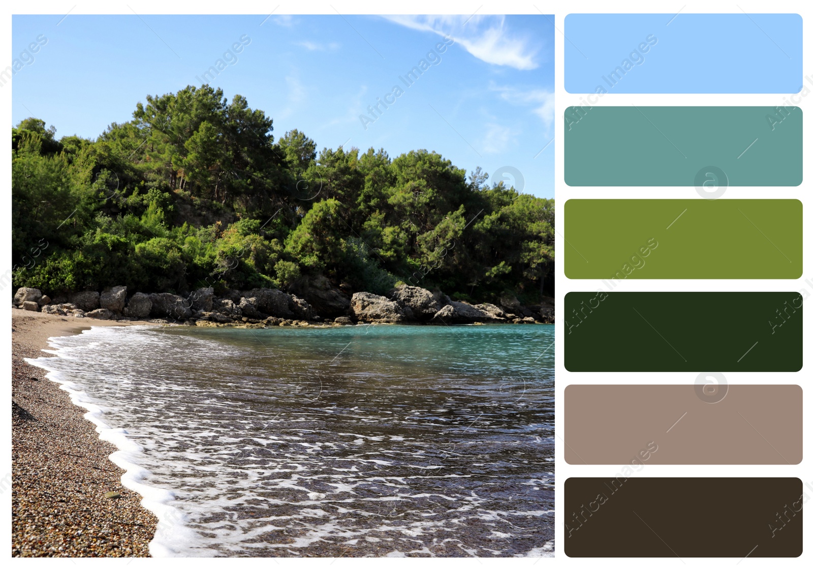 Image of Color palette appropriate to photo of beautiful beach near sea and rocky hill with forest