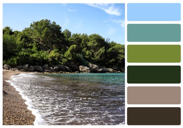 Color palette appropriate to photo of beautiful beach near sea and rocky hill with forest
