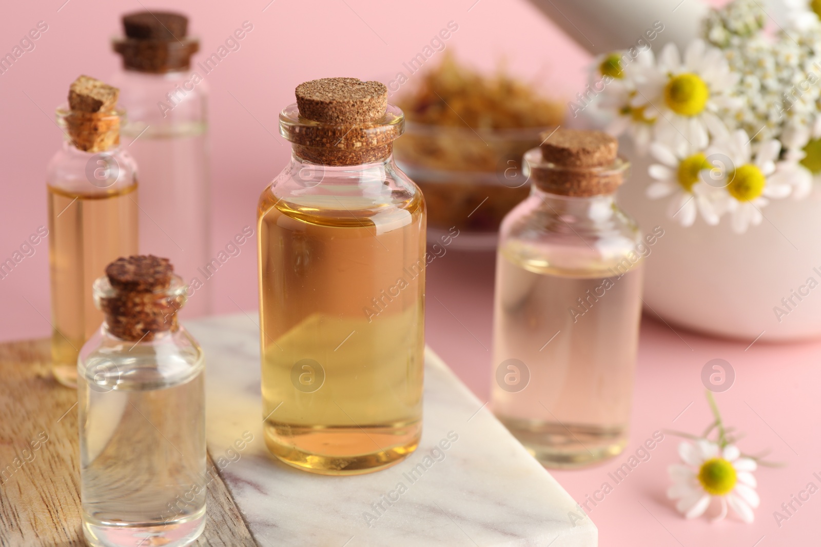 Photo of Aromatherapy. Different essential oils and flowers on pink background