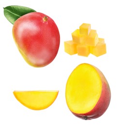 Image of Set with delicious ripe mangos on white background