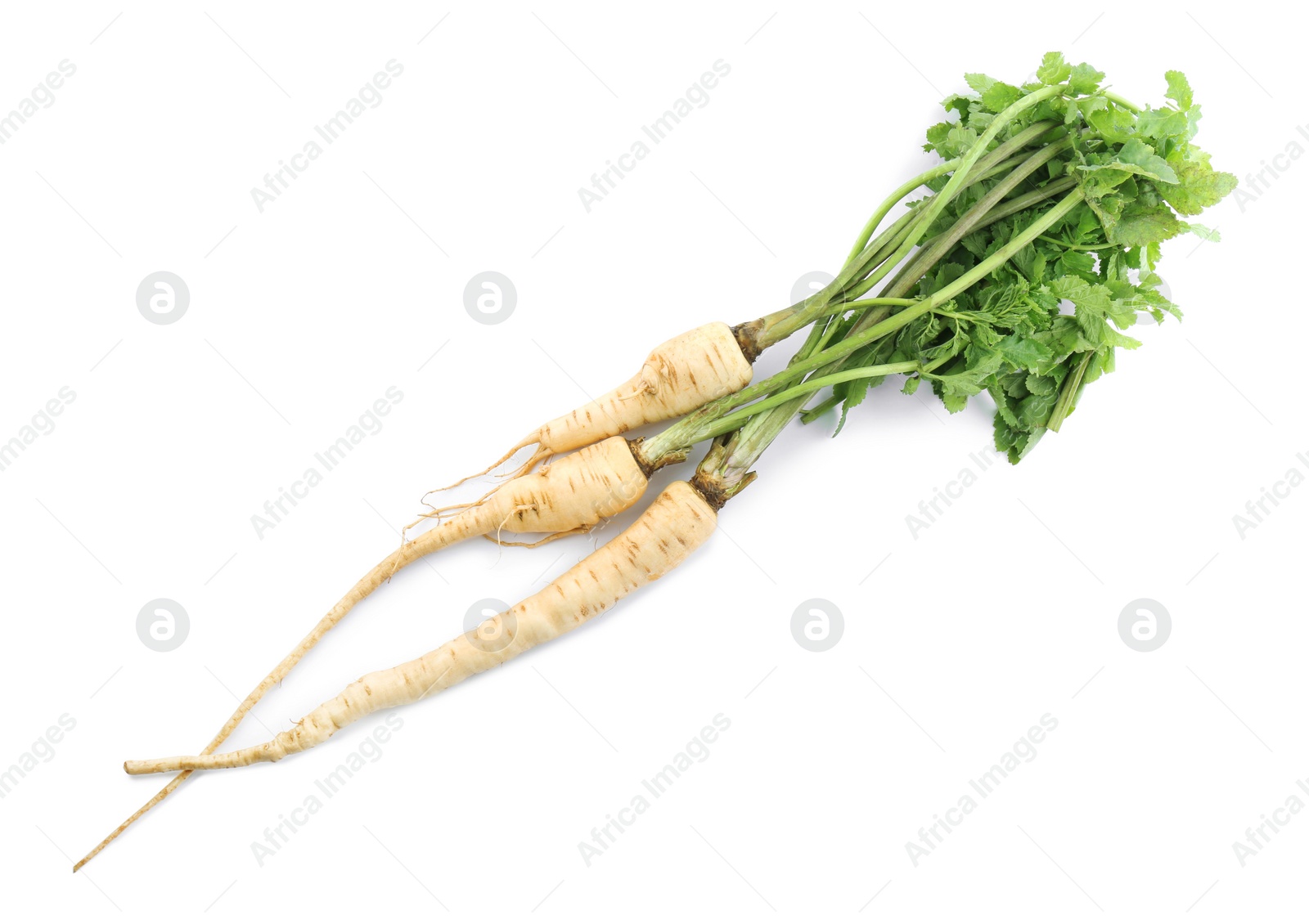 Photo of Tasty fresh ripe parsnips on white background, top view