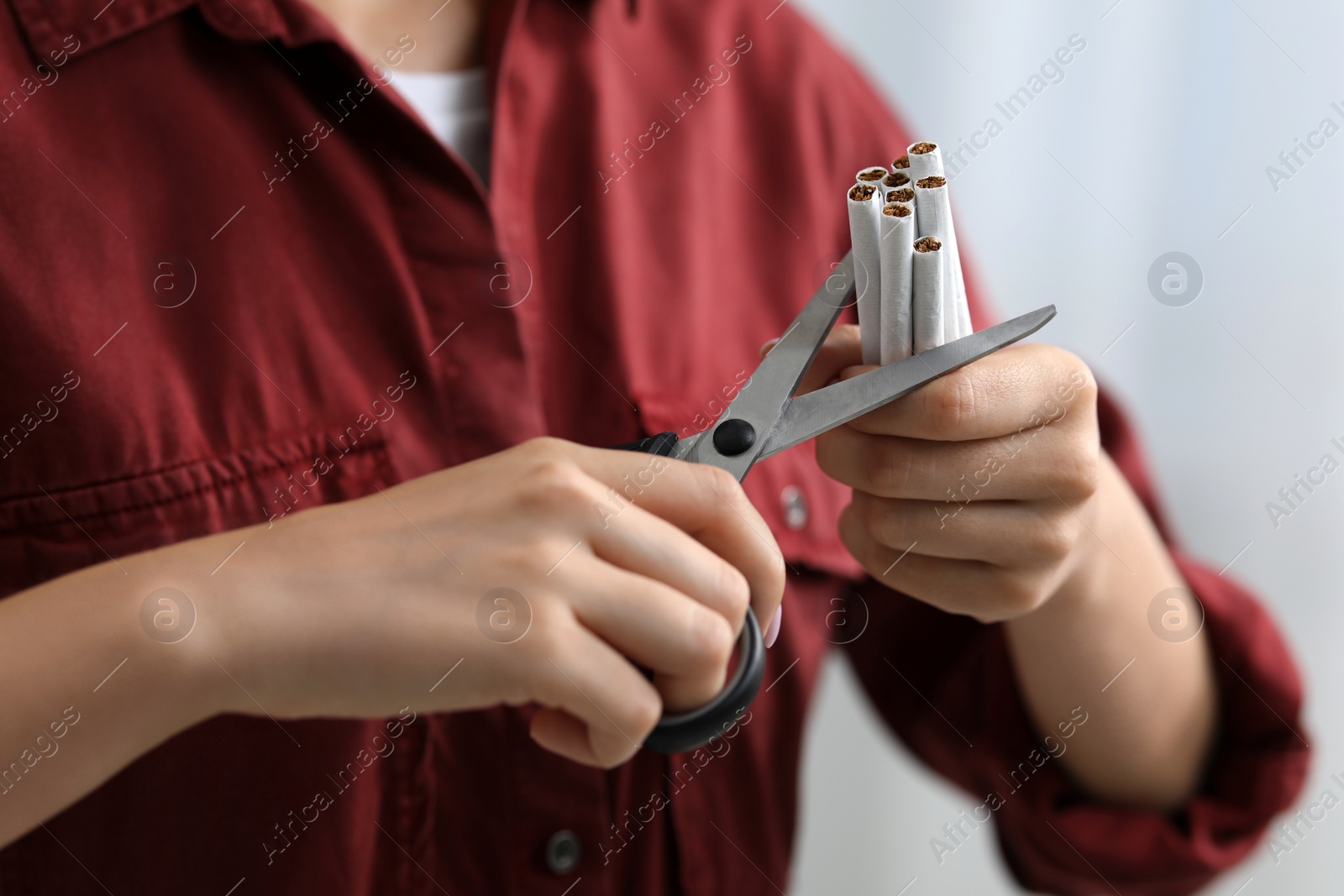 Photo of Stop smoking concept. Woman cutting cigarettes on light background, closeup