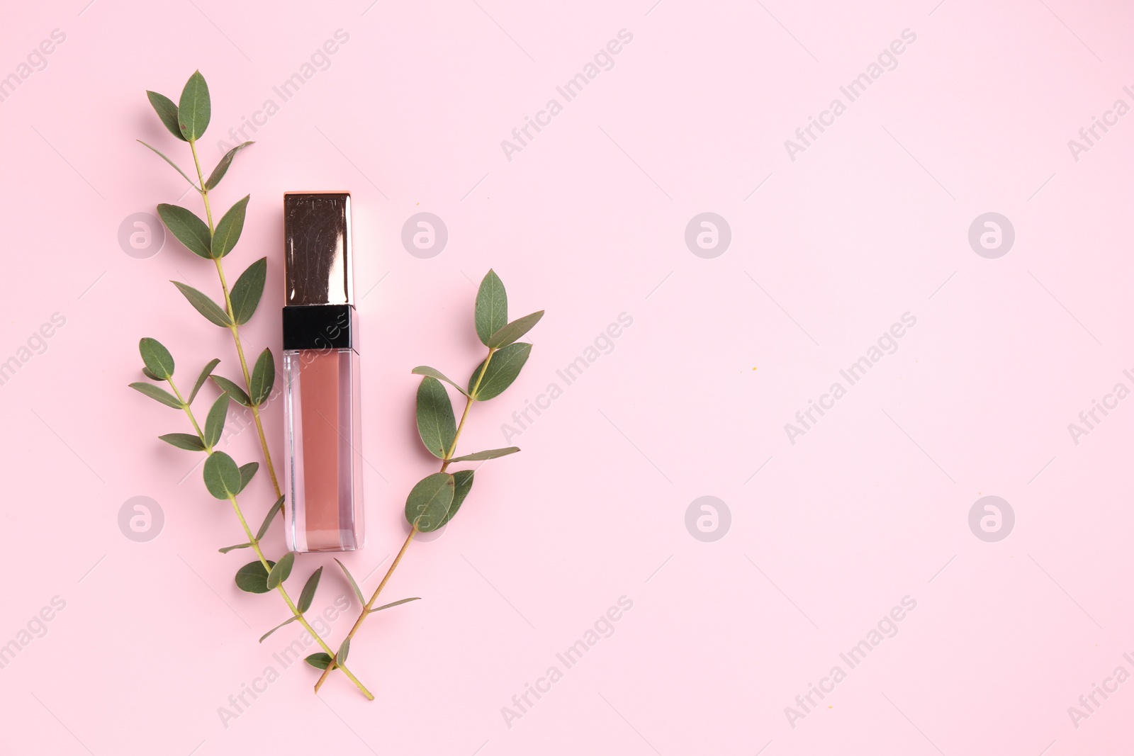 Photo of Bright lip gloss and green twigs on pink background, top view. Space for text
