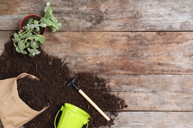 Photo of Flat lay composition with soil and gardening tools on wooden background, space for text