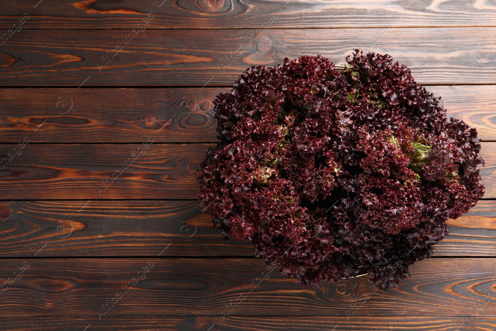 Photo of Fresh red coral lettuce on wooden table, top view. Space for text