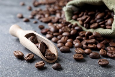 Wooden scoop and bag with roasted coffee beans on grey table, closeup