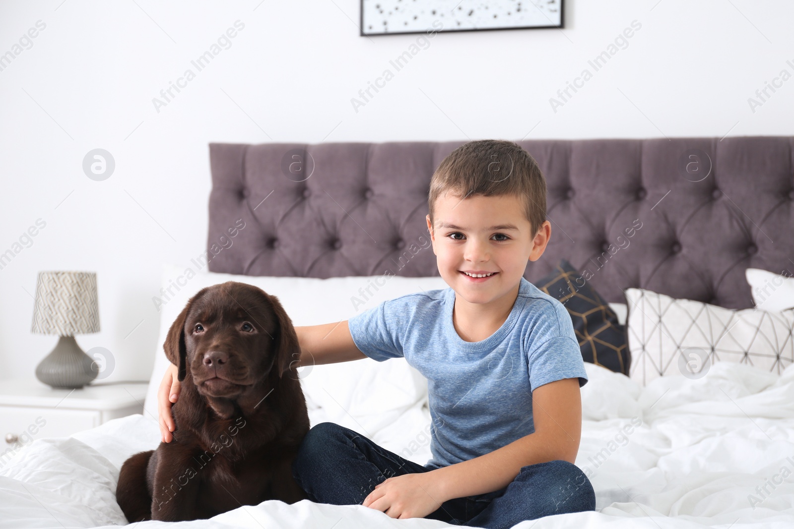 Photo of Funny puppy and little boy on bed at home. Friendly dog