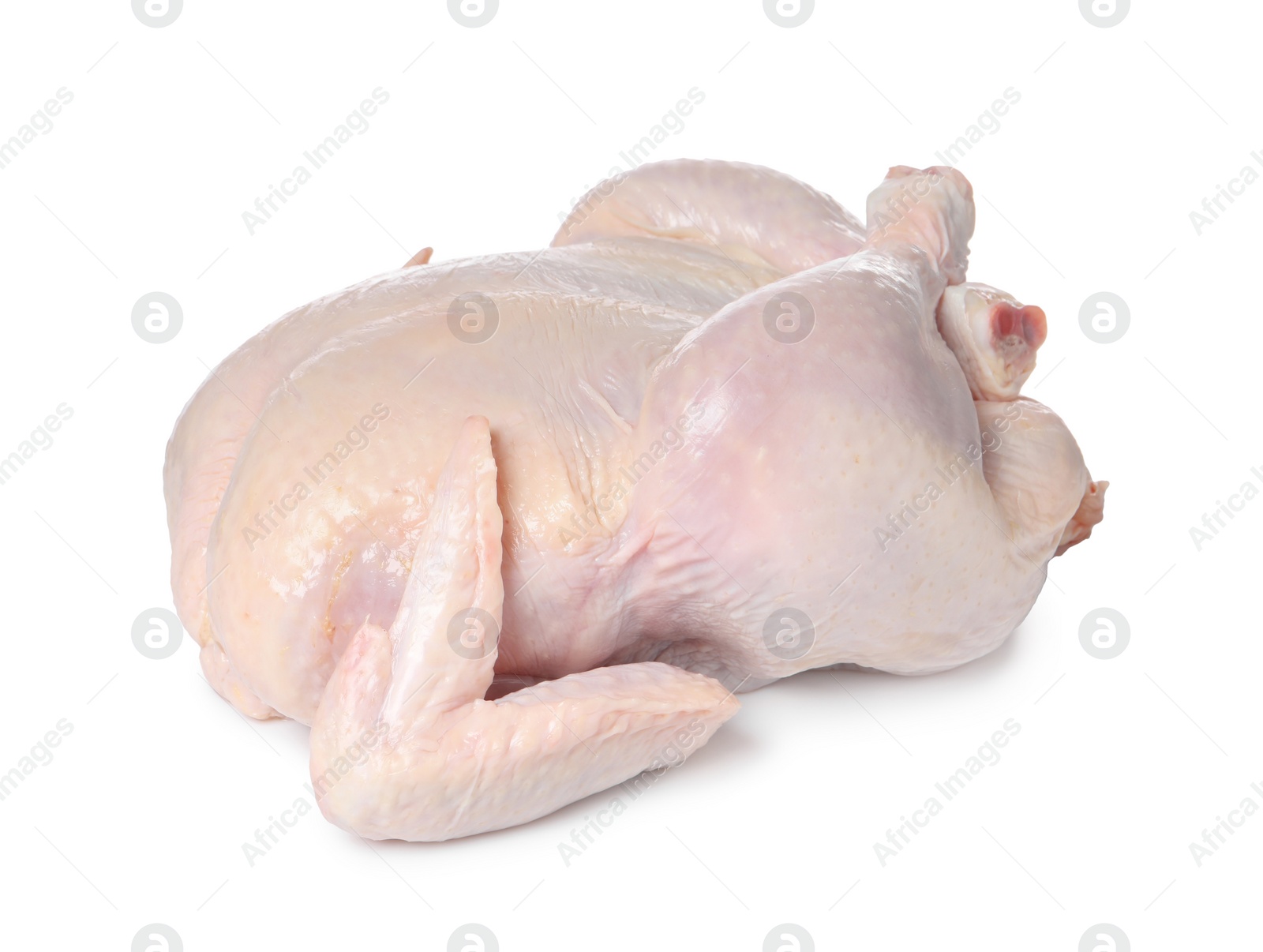 Photo of One fresh raw chicken isolated on white