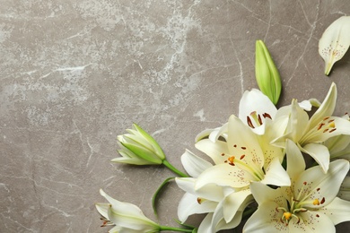 Photo of Flat lay composition with lily flowers on grey background