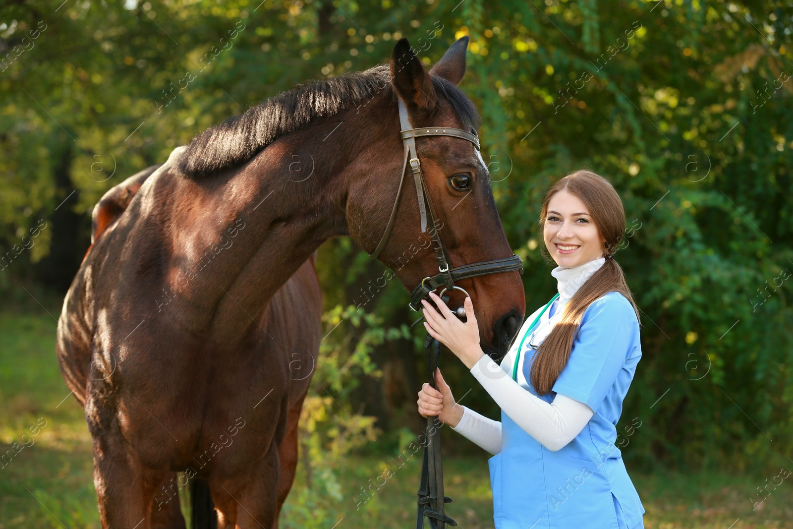 Photo of Veterinarian in uniform with beautiful brown horse outdoors