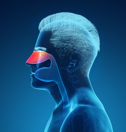 Illustration of X-ray picture of man showing respiratory system with nasal cavity on blue background, illustration