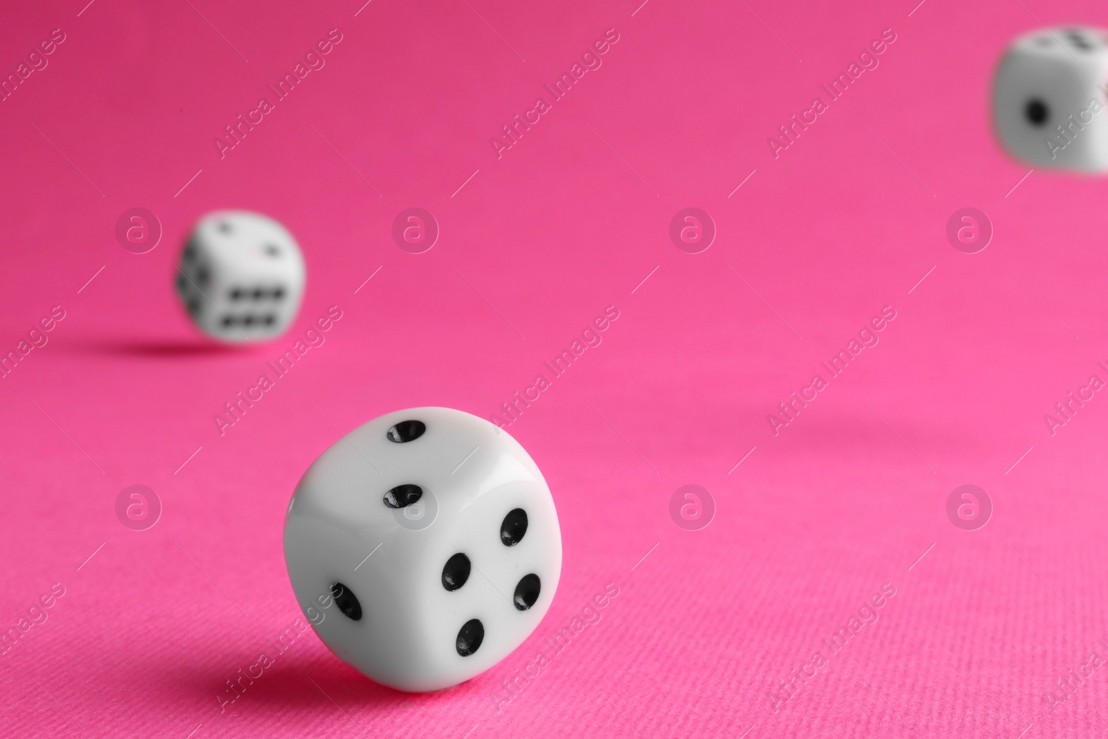 Photo of Many white game dices falling on pink background, closeup