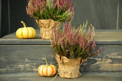 Beautiful heather flowers in pots and pumpkins on wooden surface outdoors