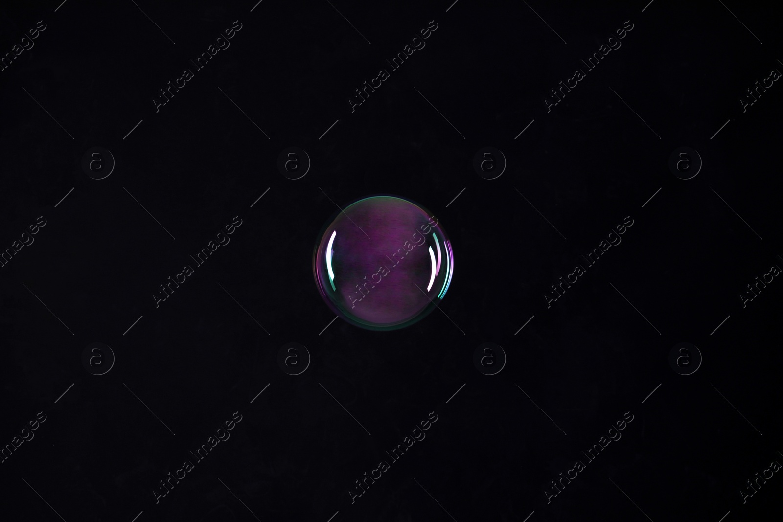 Photo of One beautiful soap bubble on black background