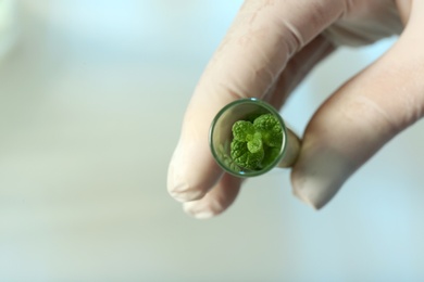 Photo of Lab assistant holding green plant in test tube on blurred background, closeup with space for text. Biological chemistry