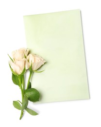 Photo of Scented sachet and roses on white background, top view