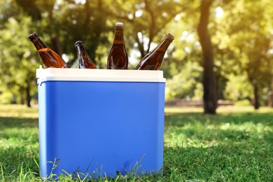 Photo of Blue plastic cool box with bottles of beer in park