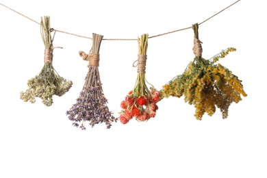 Photo of Rope with bunches of different dry herbs isolated on white