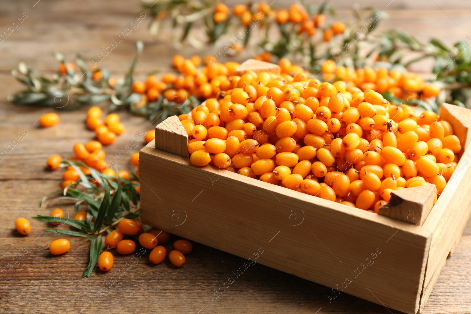 Photo of Ripe sea buckthorn berries on wooden table, closeup