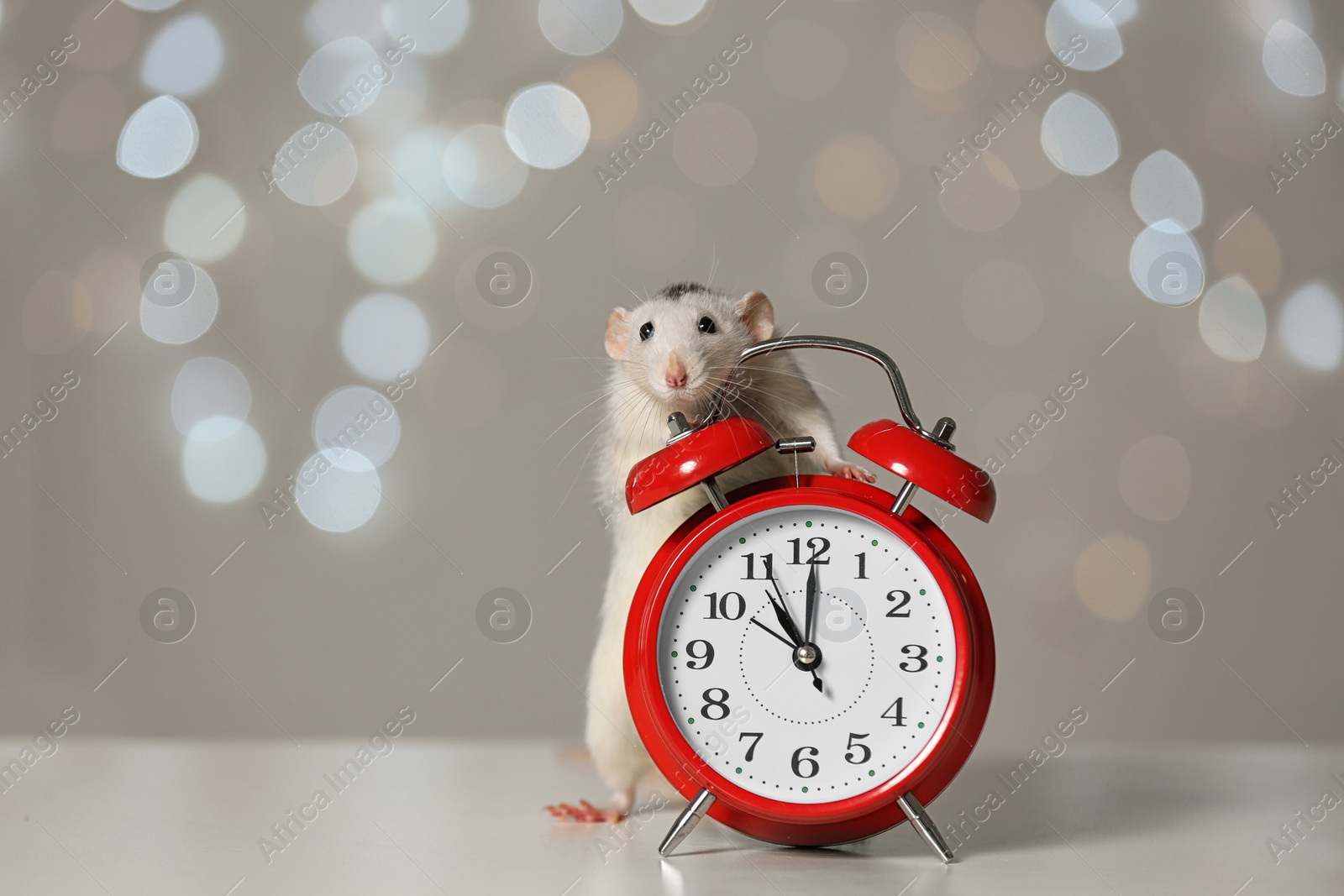 Photo of Cute little rat and alarm clock against blurred lights. Chinese New Year symbol