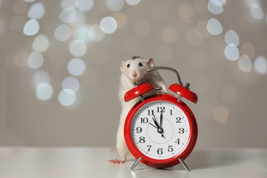 Cute little rat and alarm clock against blurred lights. Chinese New Year symbol