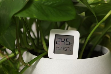Photo of Digital hygrometer with thermometer on flower pot, closeup