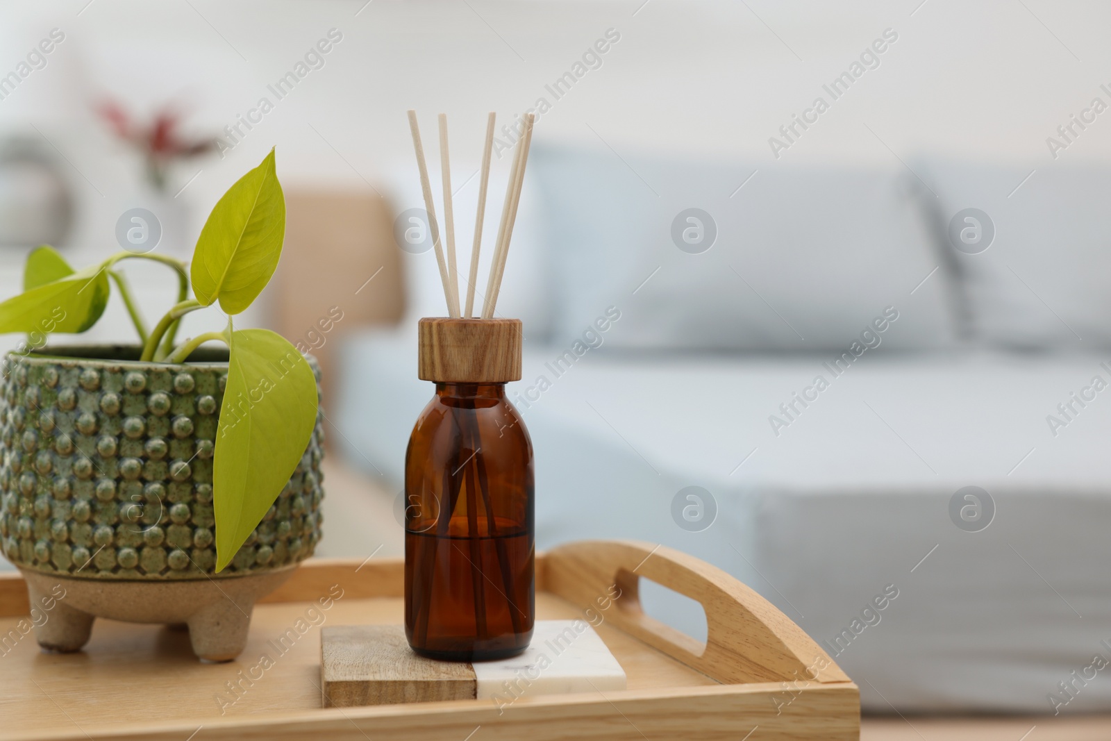 Photo of Aromatic reed air freshener near houseplant on wooden tray indoors. Space for text