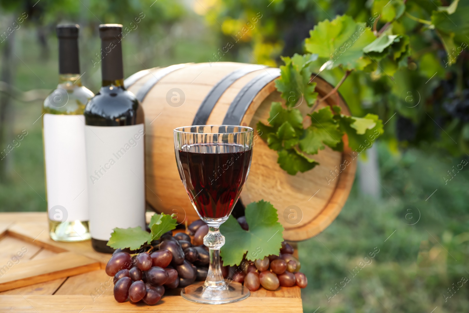 Photo of Composition with wine and ripe grapes on wooden table in vineyard