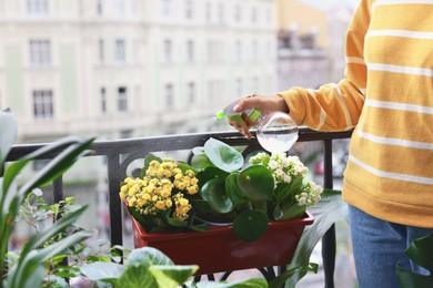 Photo of Woman spraying beautiful potted houseplants with water on balcony, closeup