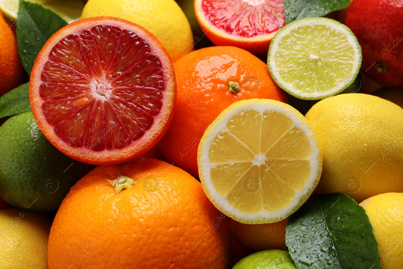 Photo of Different ripe citrus fruits as background, closeup