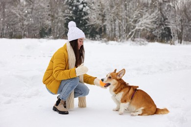Photo of Woman and adorable Pembroke Welsh Corgi dog playing with ball in snowy park