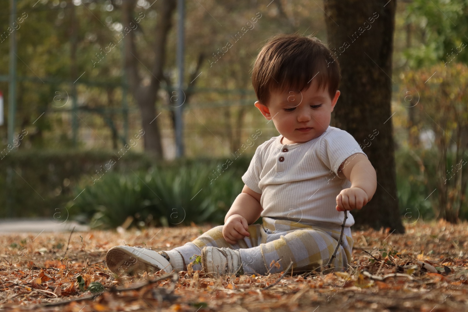 Photo of Cute little child on ground in autumn park, space for text