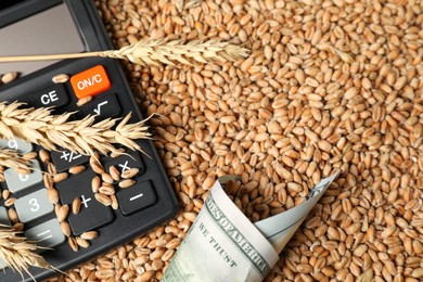 Photo of Dollar banknote, calculator and wheat ears on grains, closeup. Agricultural business